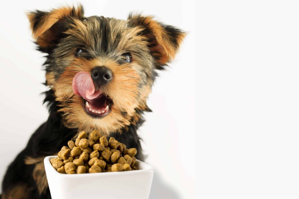 Clif Bar jumps into pet food with new herbal dog treats -  wikidogall